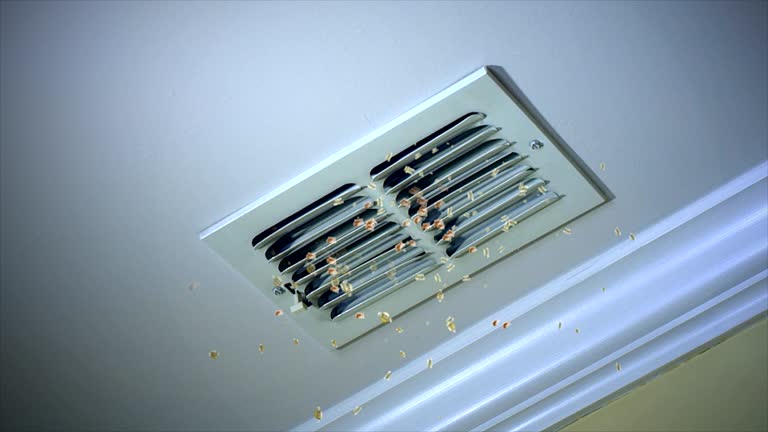 Best Ductwork Cleaning Services  in Hallsville, MO