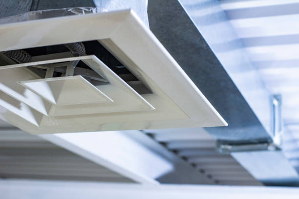 Best Home Air Vent Cleaning  in Hallsville, MO