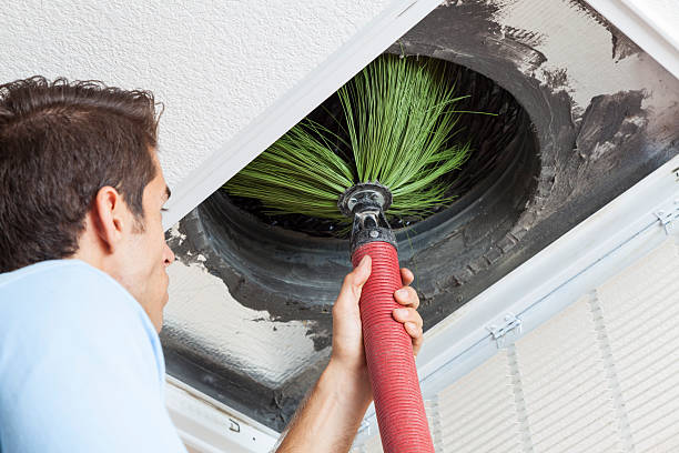 Best Commercial Air Duct Cleaning  in Hallsville, MO